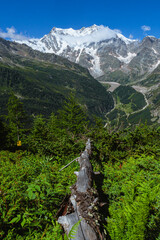 the landscape and nature of the anzasca valley and monte rosa, near the town of Macugnaga, Italy -...