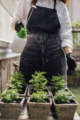 Woman florist watering plants in a flower shop - stock photo.