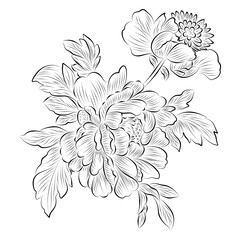 Vector plants in doodle style on a white background. Stencil. Flower tattoo. Black and white illustration.