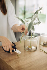 Fototapeta premium Florist making a bouquet of flowers - stock photo