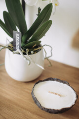 A pot with orchids on the table close-up.