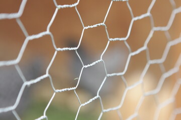 Chicken wire