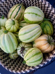 green and orange striped squash autumn vegetables in basket - 534605467