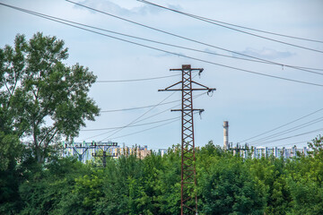 Obraz premium Power lines on the background of green foliage of trees.