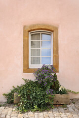 Fototapeta na wymiar Window on pink wall with green plants and stone pavement