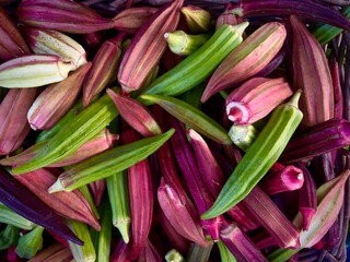 Fototapeta premium Above whole raw green and red violet okra vegetables at farmers market 