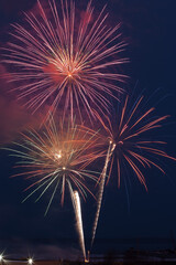 fireworks in the night sky