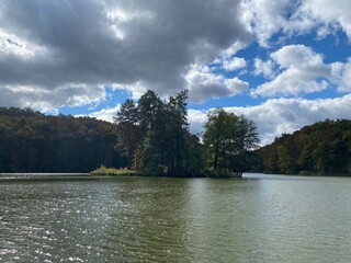 Fototapeta premium lake and forest