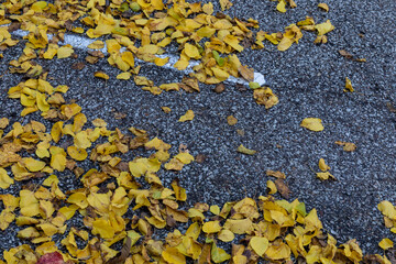 Heavily textured asphalt parking lot surface with bright yellow autumn leaves, horizontal aspect