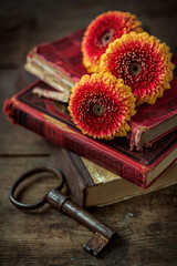 Old books, gerbera flower and key on an old wooden table. Retro style, vintage