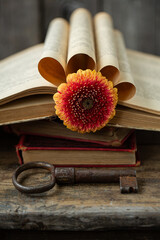 Old books, gerbera flower and key on an old wooden table. Retro style, vintage