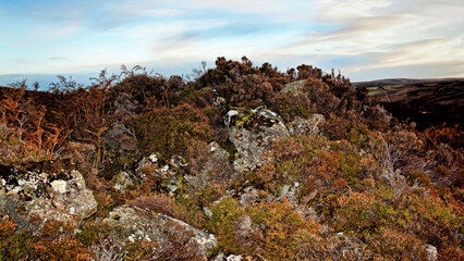 An Dun broch, Berriedale