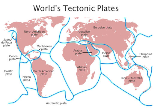 World 's tectonic plates. Earthquakes. Earth major lithospheric fault lines map. African, North, south American, Antarctic, Eurasian Indo - Australian Pacific cocos Juan,  Anatolian boundary. Vector