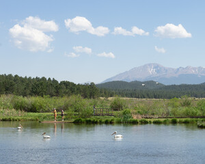 Fishing at a lake in colorado with birds in the foreground