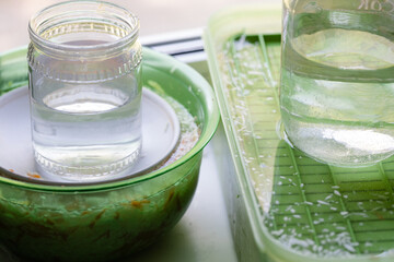 Pickling sauerkraut in plastic containers on the windowsill, glass jars with water, close-up. The concept of food from fermented canned vegetables