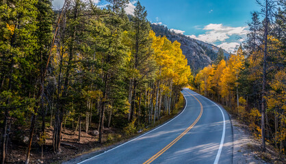 Fototapeta premium Road in Autumn going through the Aspen Trees in the Mountains