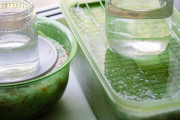 Pickling sauerkraut in plastic containers on the windowsill, glass jars with water, close-up. The concept of food from fermented canned vegetables
