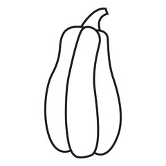 Doodle pumpkins hand drawn cartoon style. Outlined pumpkin.Isolated on white background.