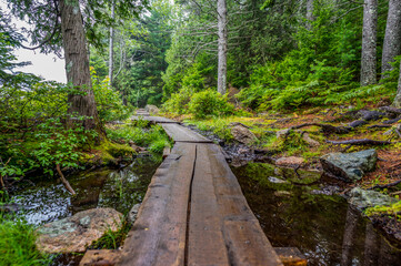Elevated boardwalk path along western edge of Jordan Pond in Acadia National Park, Maine, USA