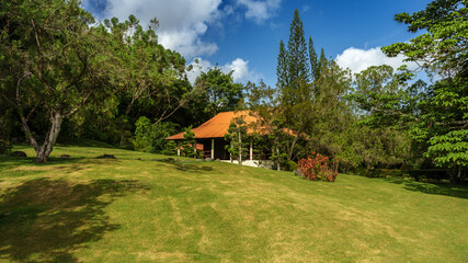 Japanese Garden
Taked By Miguel Bernal (My self)
Is the event house of Japan Garden in Botanichal...