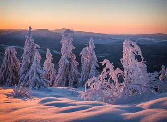 OLYMPUS DIGITALKAMERA © Ralph Janker