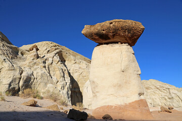 Mushroom and mountain - Grand Staircase Escalante National Monument, Utah