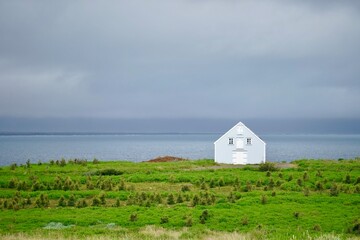 Fototapeta na wymiar Island (Europa) alleinstehendes Haus in Natur mit Wiese, Moos, Blauem Wasser, Felsen, Schwarzer Strand 