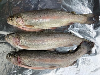 Gutted trout lie side by side prepared for cooking