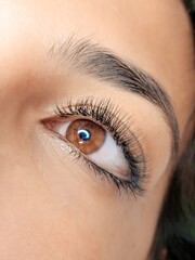 Obraz premium Close up of eyelash Extensions in beauty salon macro eye