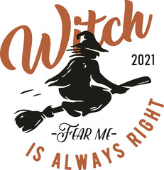 Flying witch on broom for t-shirt halloween print. Magic spooky sorceress for happy halloween. Wicked for design dark halloween party or sabbat - obrazy, fototapety, plakaty