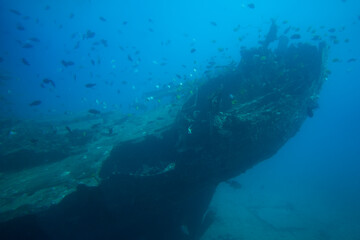 Fototapeta na wymiar Shipwreck lying on the ocean floor in Mamala Bay near Waikiki Beach in Honolulu, Hawaii