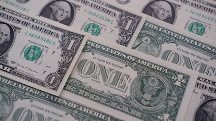 One American dollar on wooden background, financial and economic concept. Recession and economic crisis 