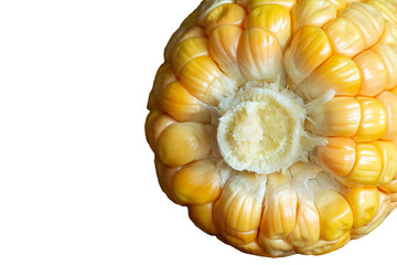 Corn cob on dark wooden rustic background. Detail texture. Macro.