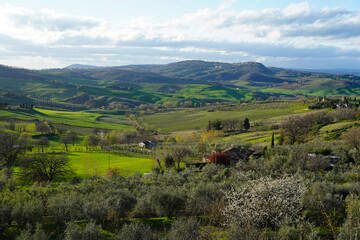 Fototapeta na wymiar Rolling hills in the Tuscan countryside