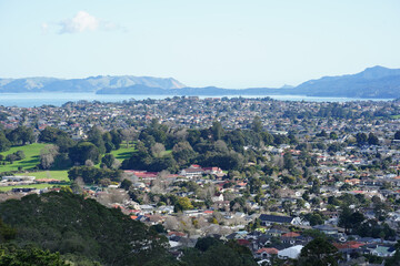 Fototapeta na wymiar Overlooking the Auckland suburb of Mt Roskill