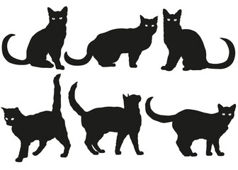 Halloween Set Stickers Cats