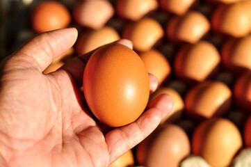 fresh egg on hand blur background