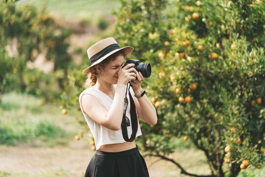 A woman in a straw hat is making pictures in an orange garden