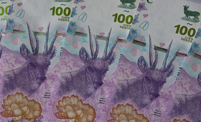 billetes de 100 pesos argentinos con el nuevo diseño, los billetes estan alineados en abanico