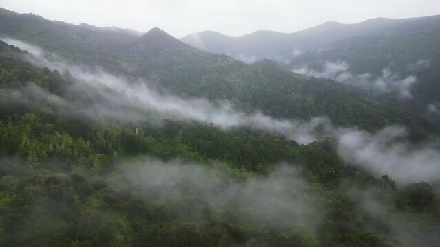 Flying on top on the rainy forest in San Gerardo de Dota, Costa Rica