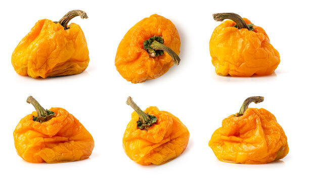 set of dehydrated and rotten bell peppers in different angles, bad or spoiled and non-consumable fruits isolated on white background, collection