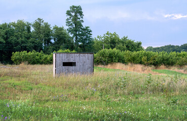deer blind for hunters sits in a blueberry orchard din Michigan USA