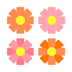 Fall blooming cosmos illustration design set.