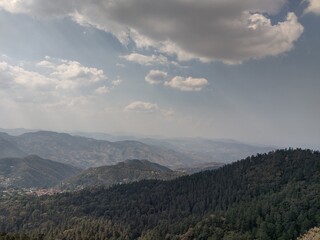 NATURE TREE(ARBOL NATURAL)
