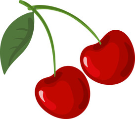 cherry fruit illustration cartoon