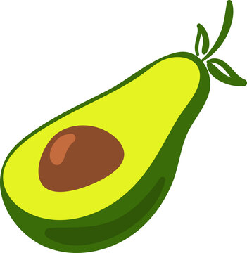 Avocado Fruit Illustration Cartoon