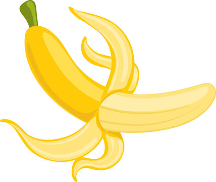 Banana Fruit Illustration Cartoon