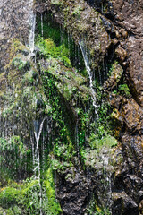 Water trickles over mossy rock by a waterfall
