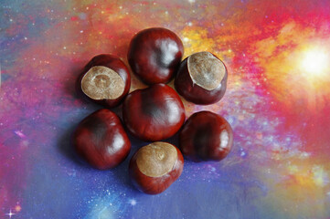 Obraz premium Chestnuts close-up on a colored background. Horse chestnut fruit. Selective focus.