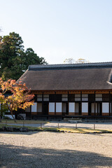 Obraz premium 日本の庭園